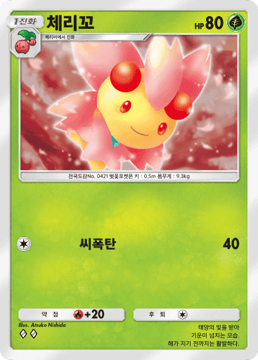 체리꼬